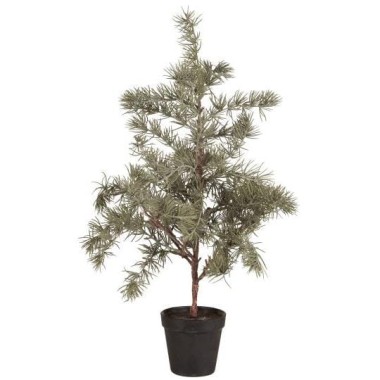 Ib Laursen - Choinka - cedr z plastikową doniczką mniejsza - 60cm