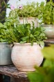 Wazon Margot Ib Laursen w kolorze terakoty z otworem Ø 20 cm – ręcznie wykonany, z organicznymi rowkami, skandynawski wazon ceramiczny | Ulica Ceramiczna&Home Design