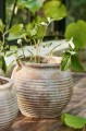 Wazon Margot Ib Laursen w kolorze terakoty z otworem Ø 20 cm – ręcznie wykonany, z organicznymi rowkami, skandynawski wazon ceramiczny | Ulica Ceramiczna&Home Design