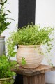 Wazon Margot Ib Laursen w kolorze terakoty z otworem Ø 17,5 cm – ręcznie wykonany, z organicznymi rowkami, skandynawski wazon ceramiczny | Ulica Ceramiczna&Home Design