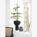 Krzesło drewniane z rattanem Madam Stoltz – czarne krzesło do jadalni z naturalnych materiałów | Ulica Ceramiczna& Home Design