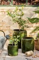 Zestaw trzech donic Saigon w oliwkowym kolorze marki Ib Laursen. Stylowe donice idealne do roślin i dekoracji wnętrza. Dostępne w Ulica Ceramiczna & Home Design.