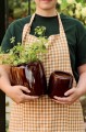 Zestaw dwóch donic Saigon w kolorze głębokiego brązu marki Ib Laursen. Stylowa dekoracja dla roślin dostępna w Ulica Ceramiczna &amp;amp; Home Design.